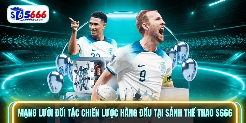 Mạng lưới đối tác chiến lược hàng đầu tại sảnh thể thao S666 Mạng lưới đối tác chiến lược hàng đầu tại sảnh thể thao S666