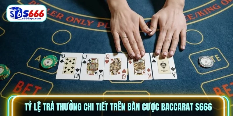 Tỷ lệ trả thưởng chi tiết trên bàn cược Baccarat S666